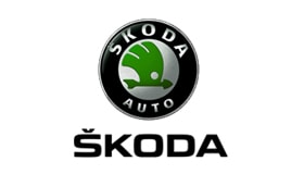 Skoda Elektrik Elektronik Servisi